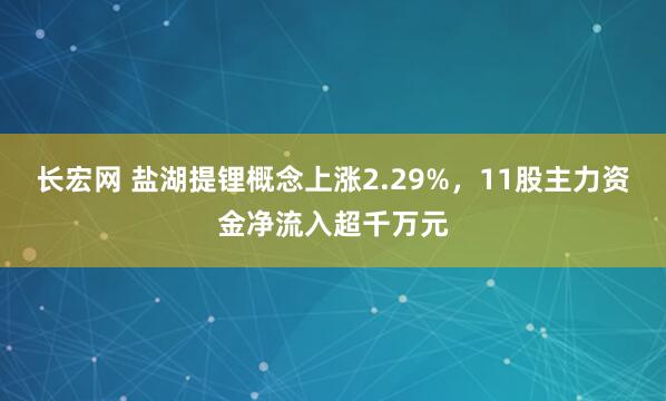 长宏网 盐湖提锂概念上涨2.29%，11股主力资金净流入超千万元