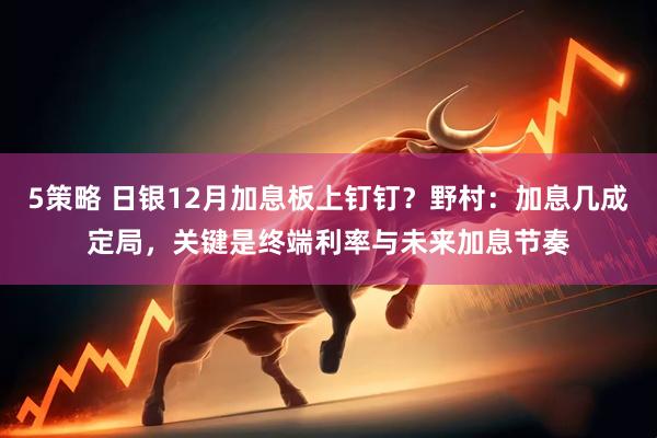 5策略 日银12月加息板上钉钉？野村：加息几成定局，关键是终端利率与未来加息节奏